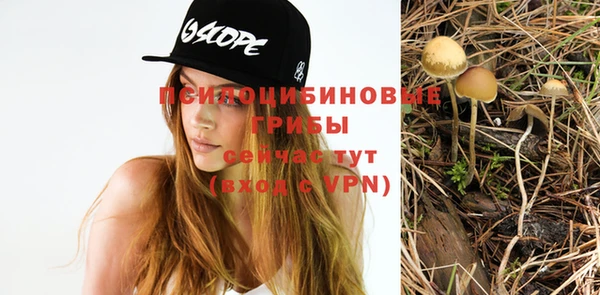 соль ск Алзамай