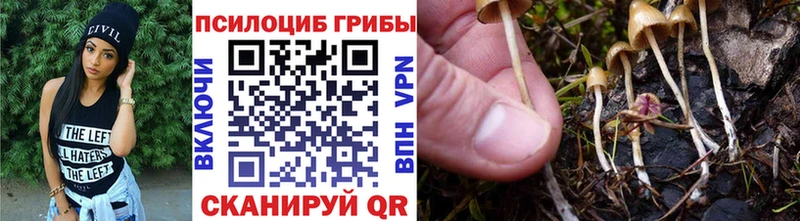 сайты даркнета клад  Суджа  Галлюциногенные грибы мухоморы 