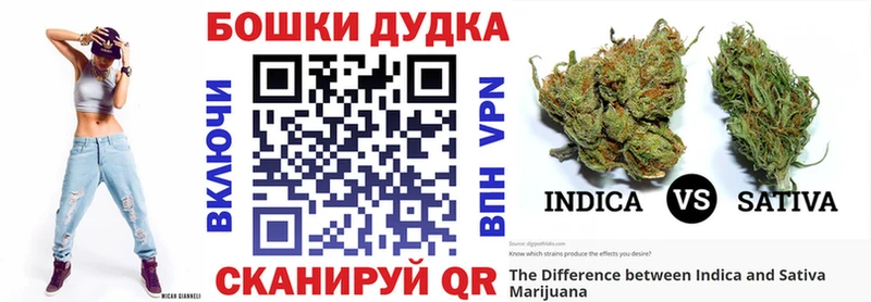 Бошки Шишки гибрид  продажа наркотиков  Суджа 